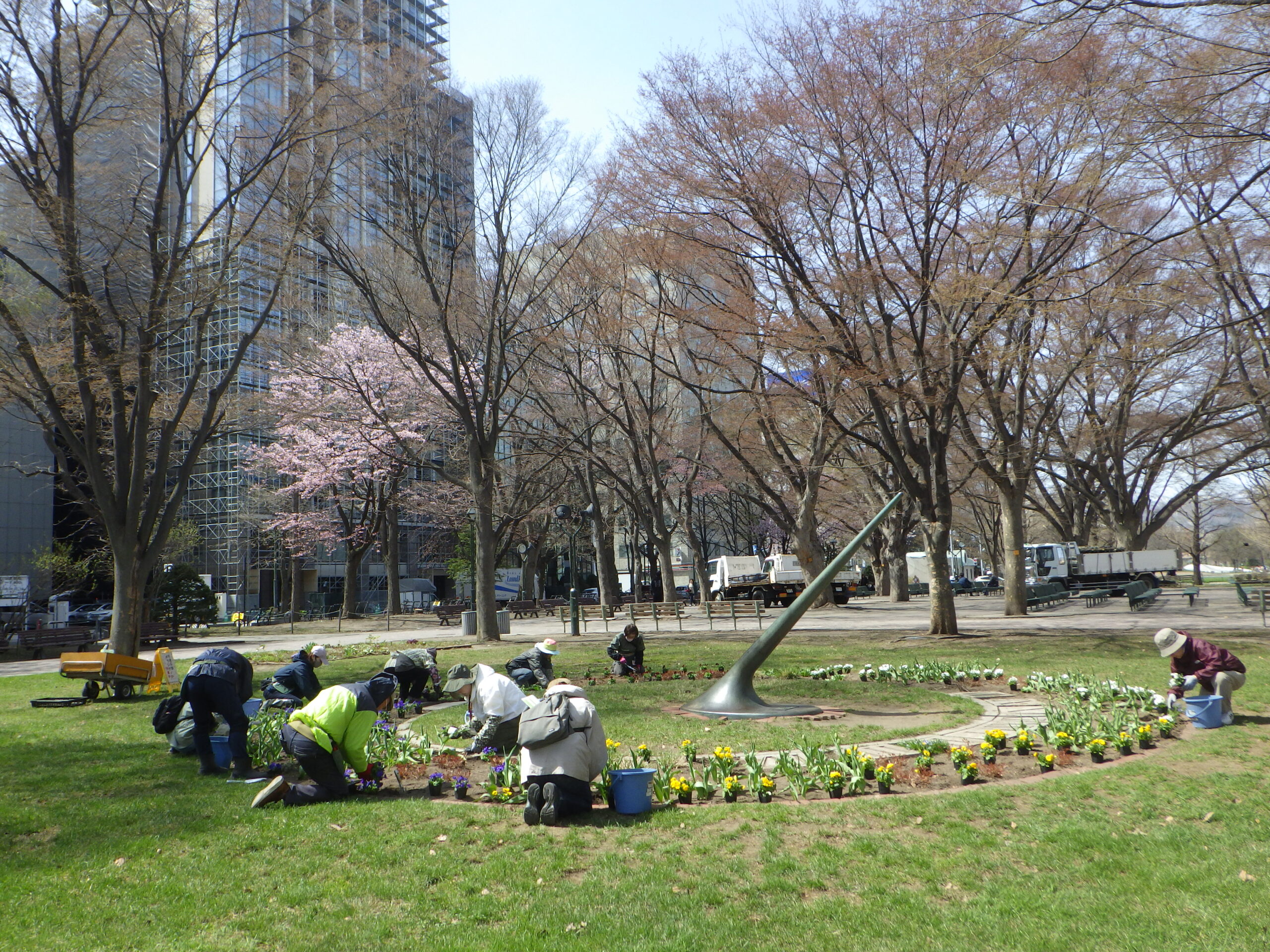 0420花壇ボランティア