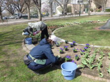 0420花壇ボランティア