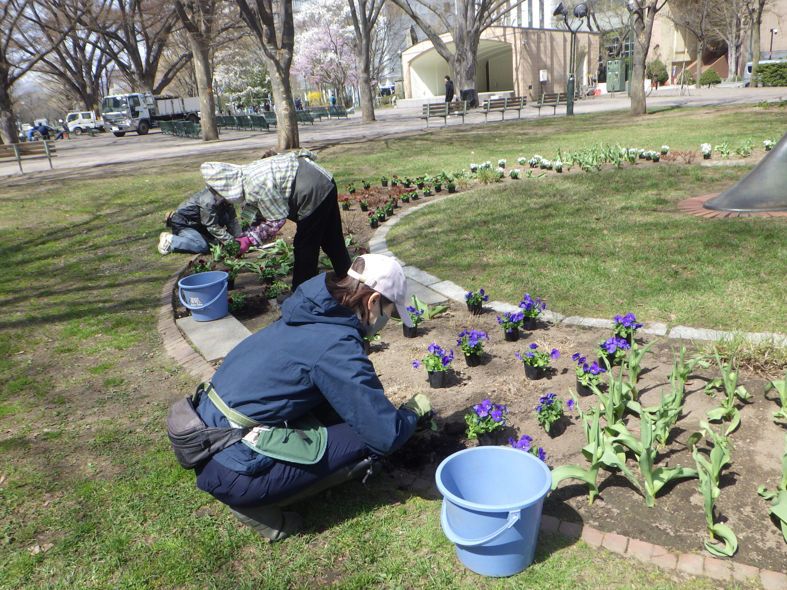 0420花壇ボランティア