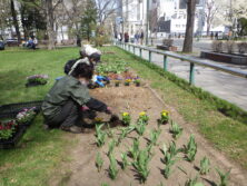 0420花壇ボランティア
