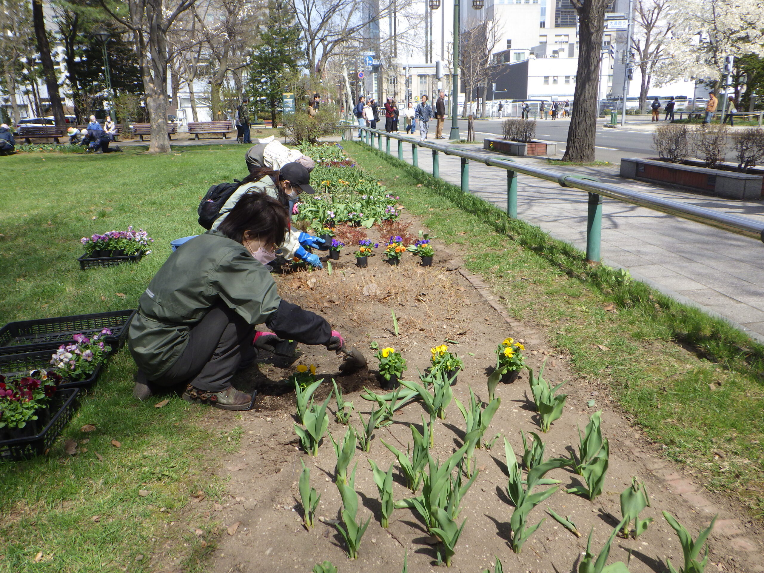 0420花壇ボランティア