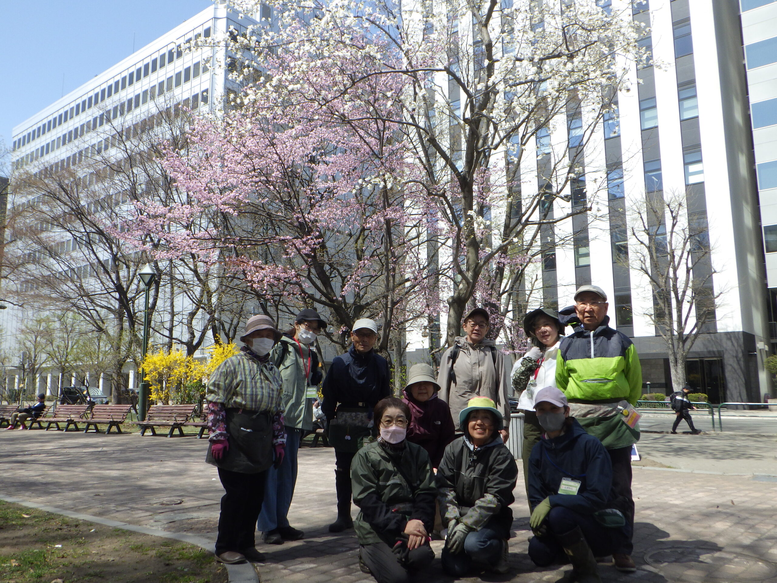 0420花壇ボランティア