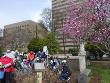 0422バラボランティア