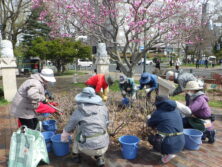 0422バラボランティア