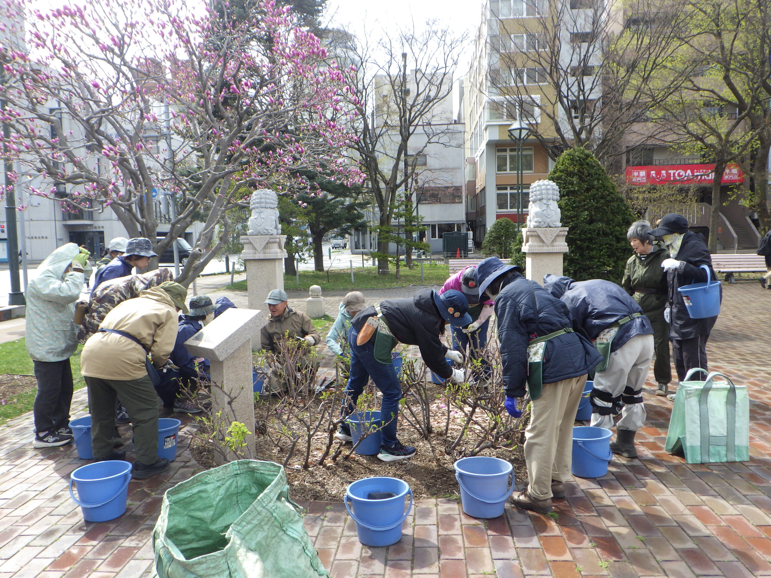 0422バラボランティア