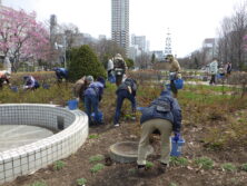 0422バラボランティア