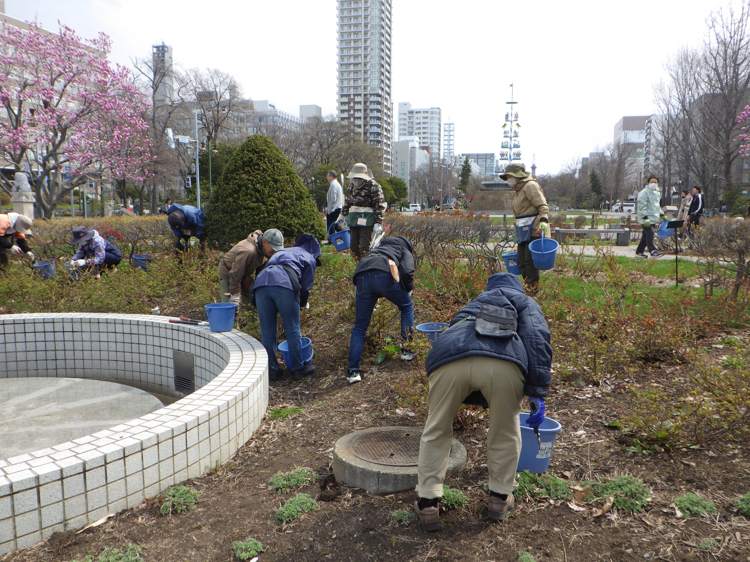 0422バラボランティア