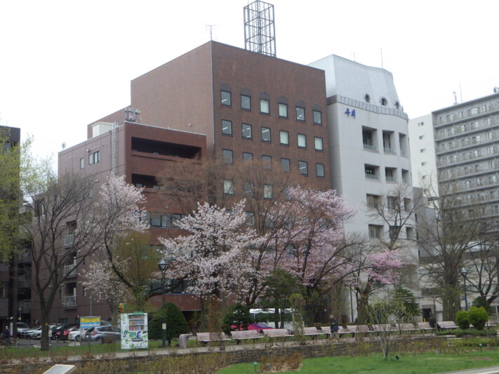 0422西12丁目エゾヤマザクラ