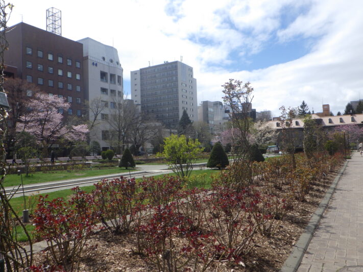 0424西12丁目の様子