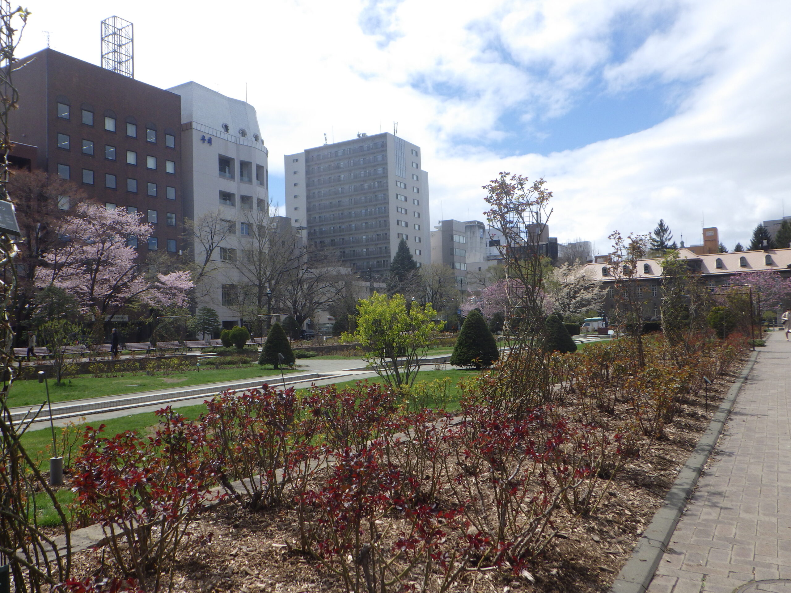 0424西12丁目の様子