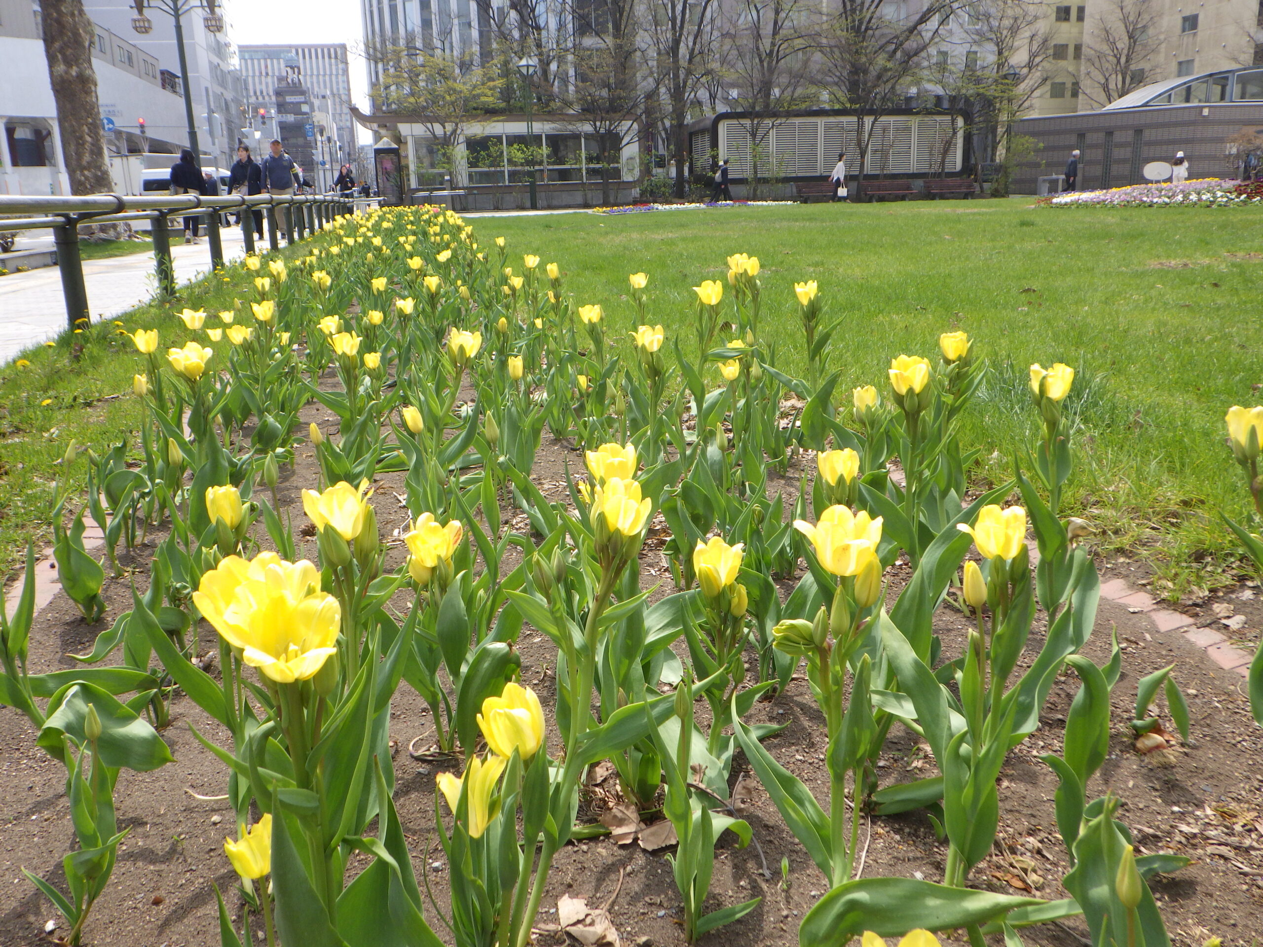 0427西5丁目サンシャインクラブ
