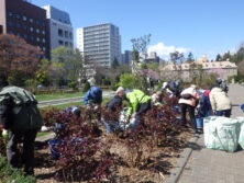 0429バラボランティア
