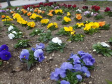 0430シーズネット