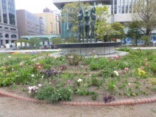 0430シーズネット