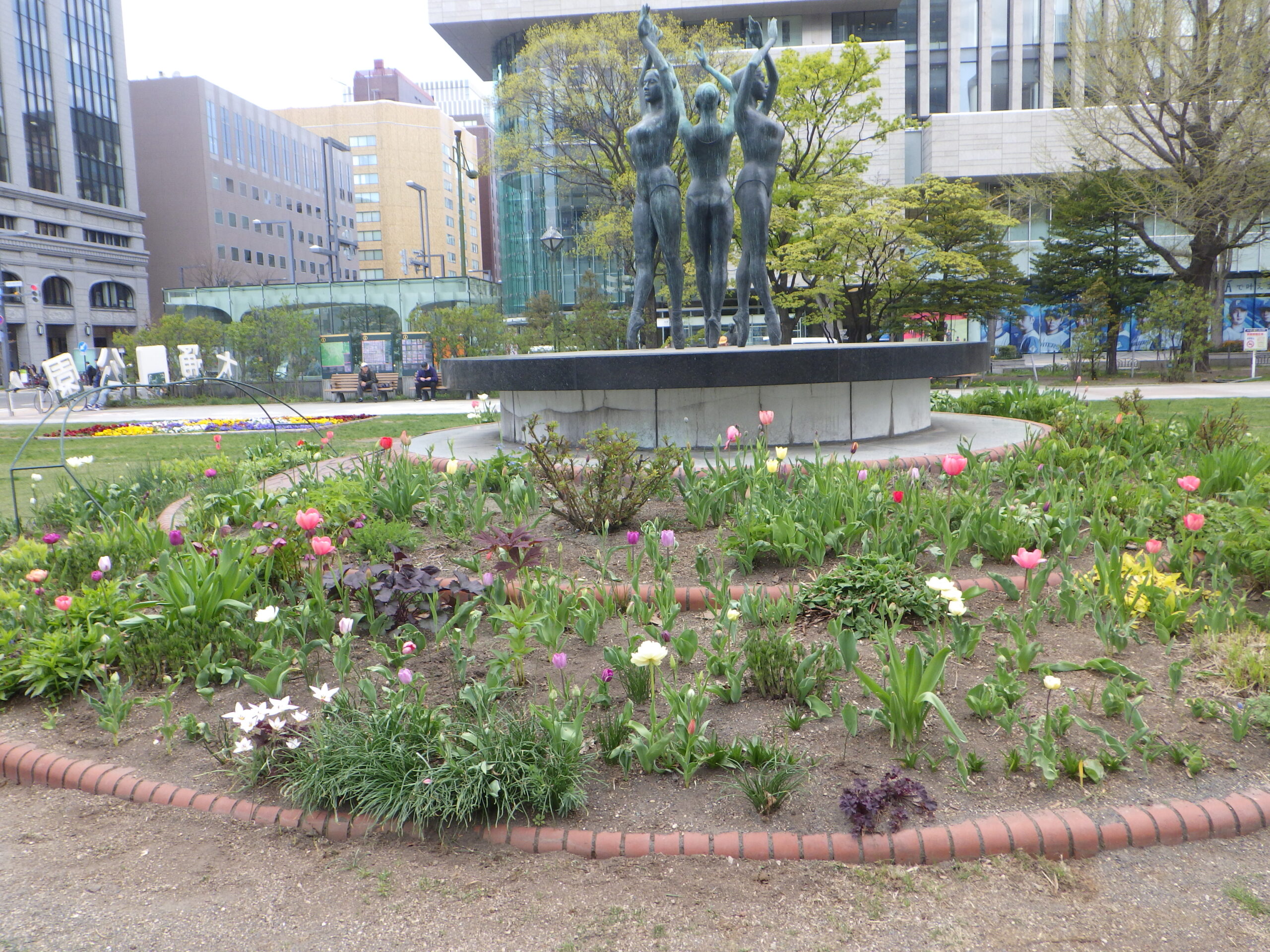 0430シーズネット