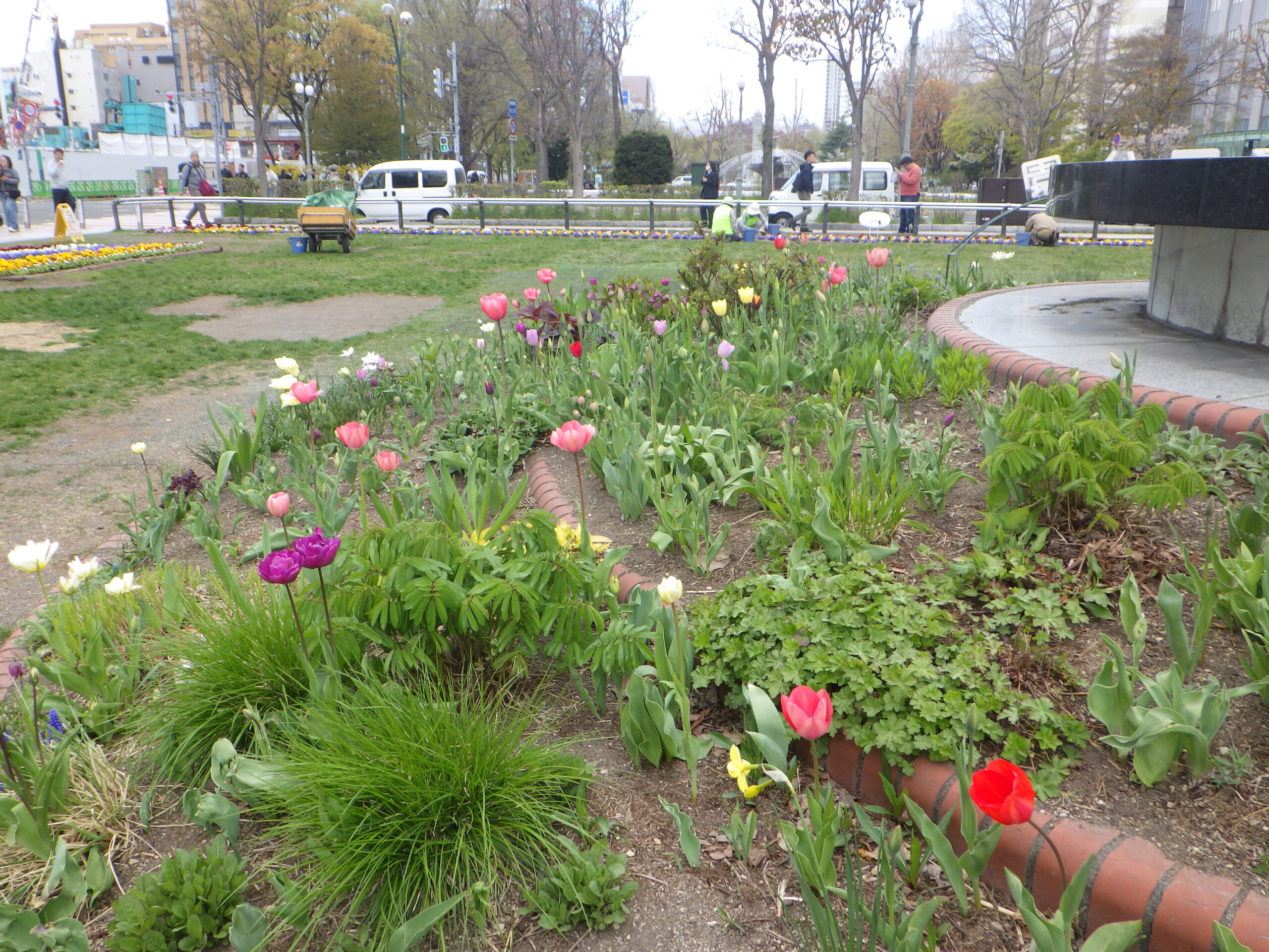 0430シーズネット