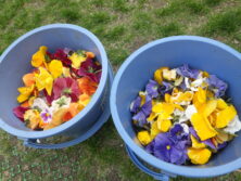 0430シーズネット