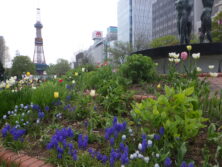 0507西3丁目泉の像花壇