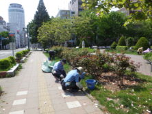 0513縁石除草