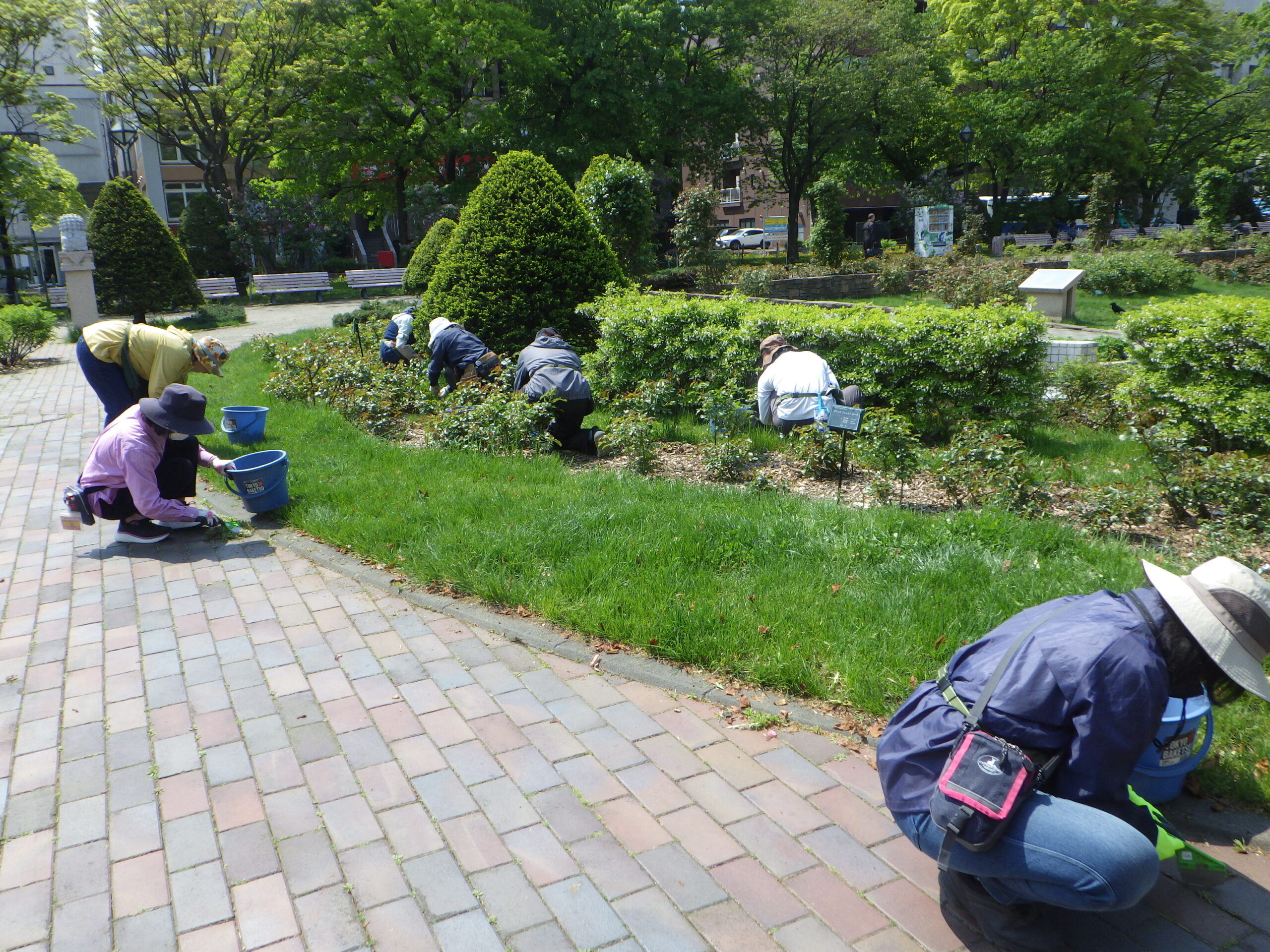 0513縁石除草