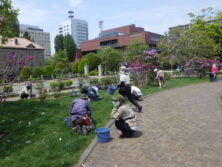 0513縁石除草
