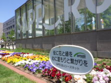 0514西3東側ボーダー花壇