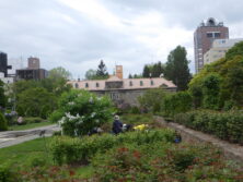 0520除草の様子