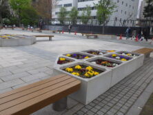 大通公園西2ベンチ塗装作業後