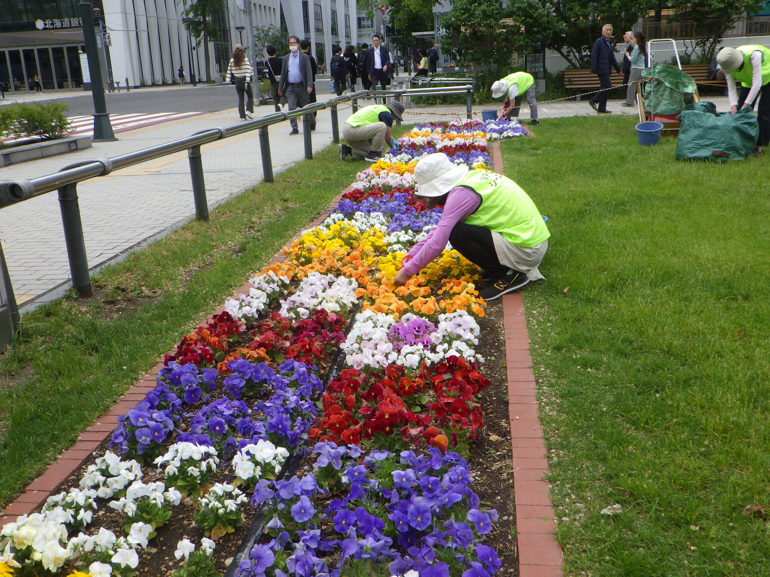 0528シーズネットＤ班