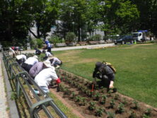 0619市民ボランティア