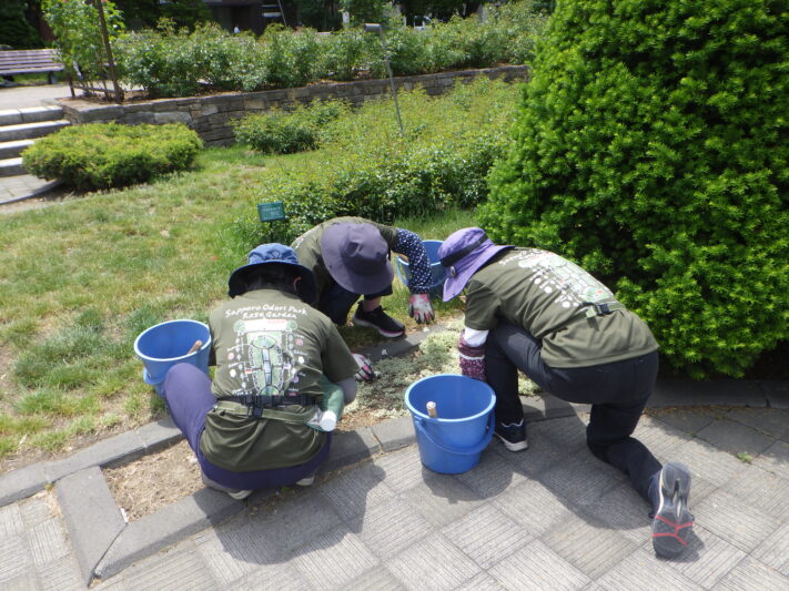 0603除草中