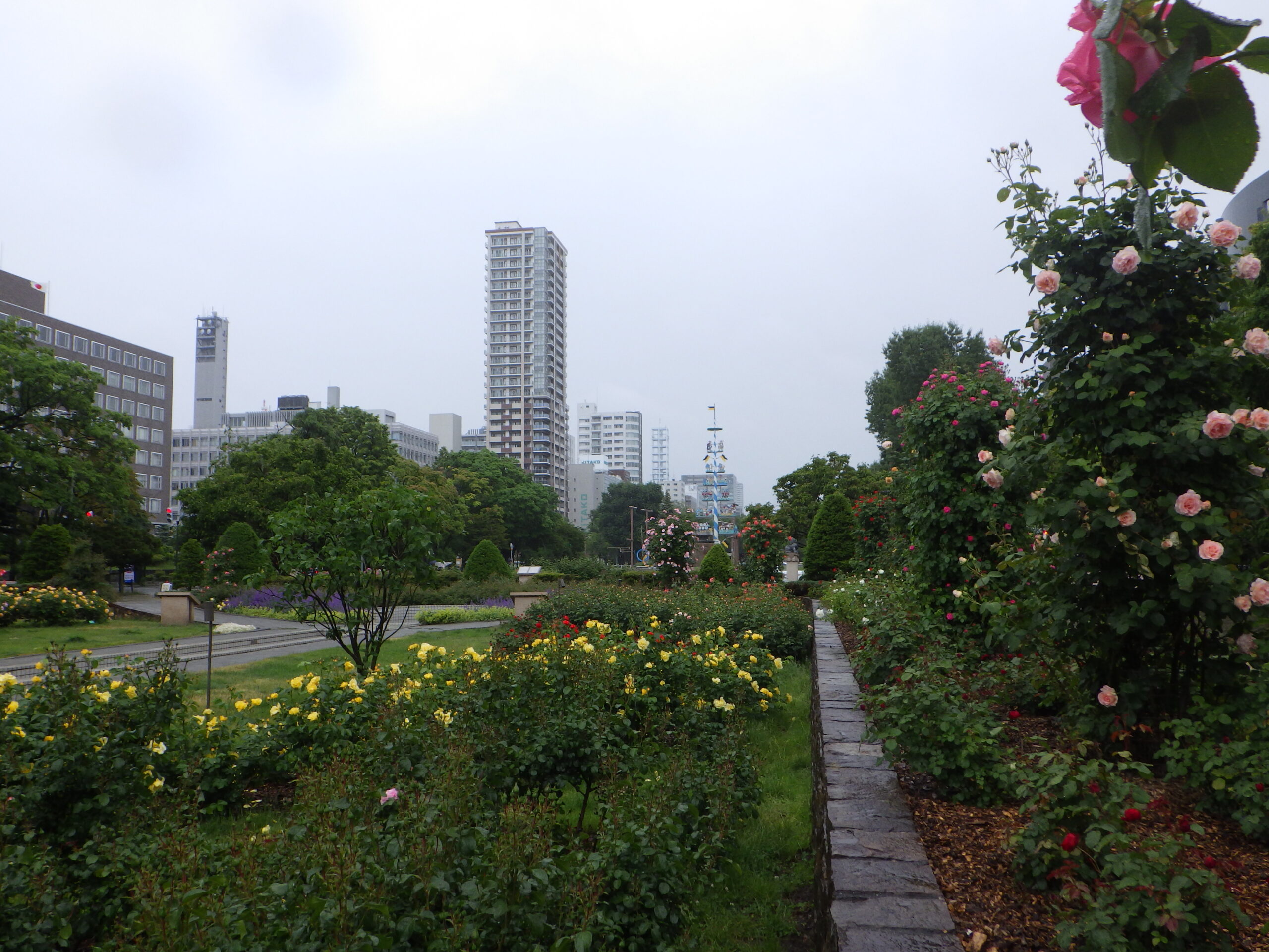 0608西12丁目バラ園
