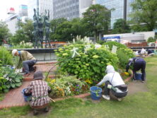 0622花壇ボランティア