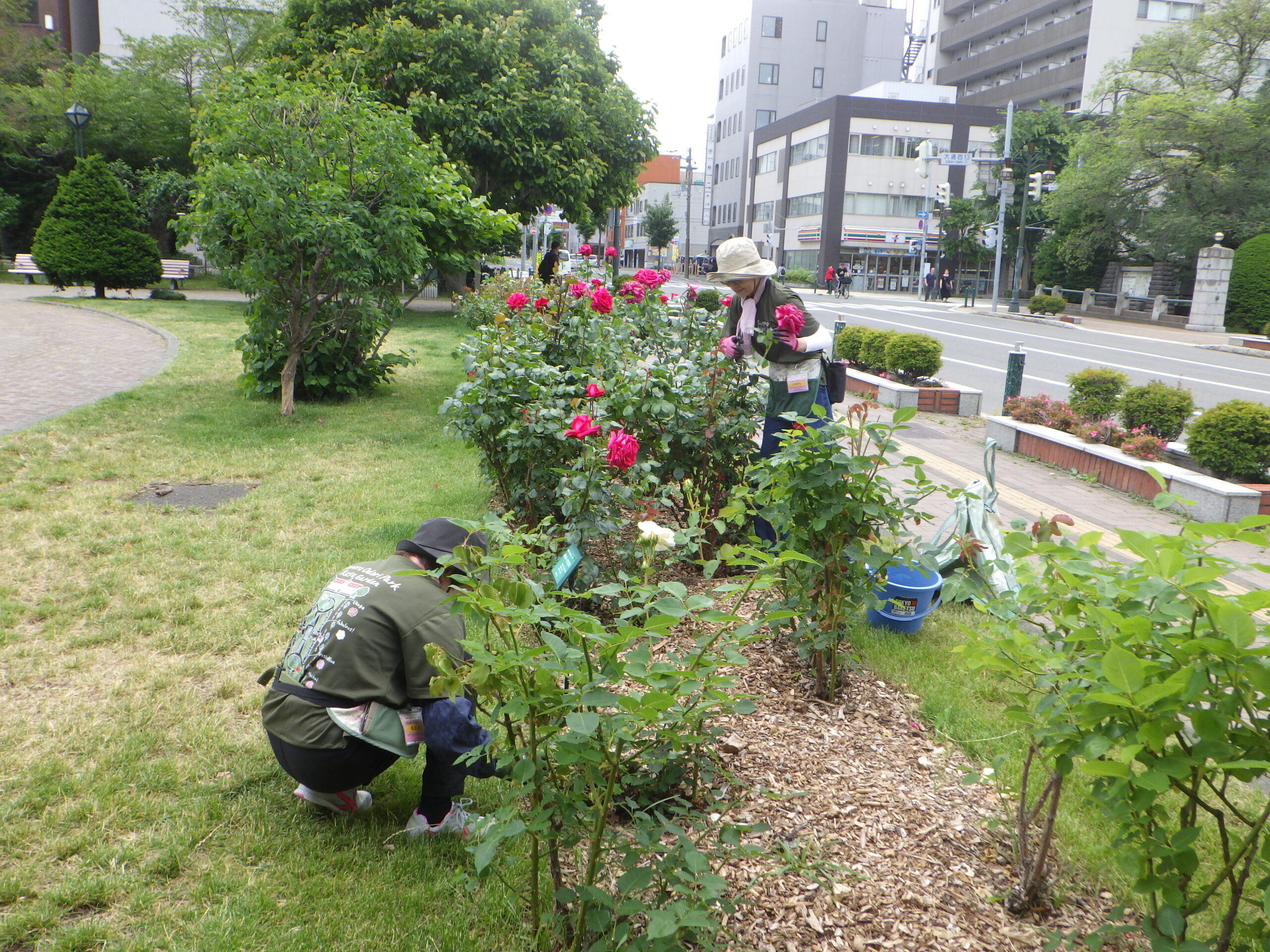 0626花がら摘み