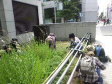 0706花壇ボランティア