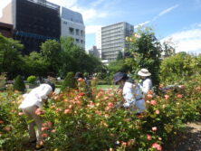 0729バラボランティア