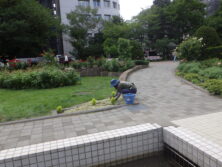 0729バラボランティア