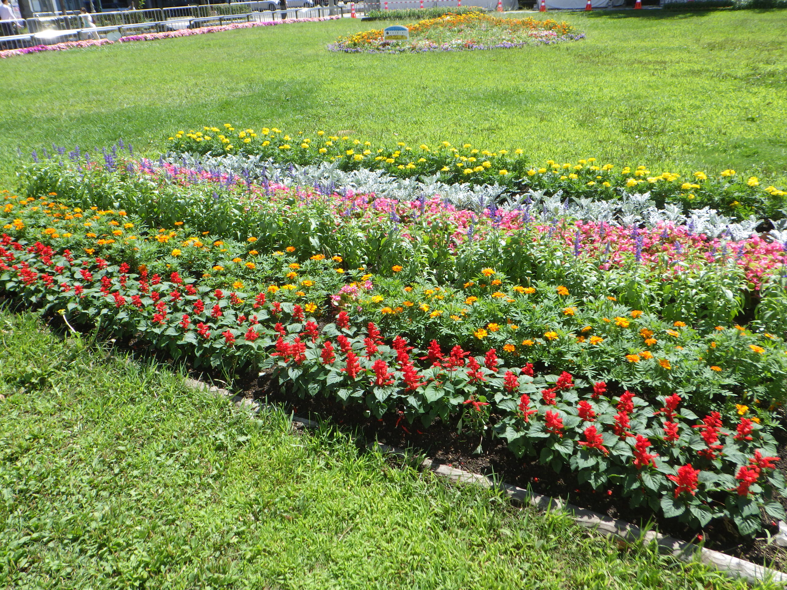 0827夏花壇造成