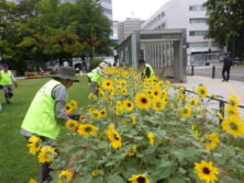 0903シーズネット