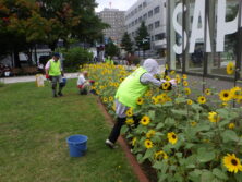 0903シーズネット