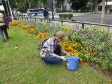 0907花壇ボランティア