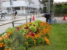0907花壇ボランティア