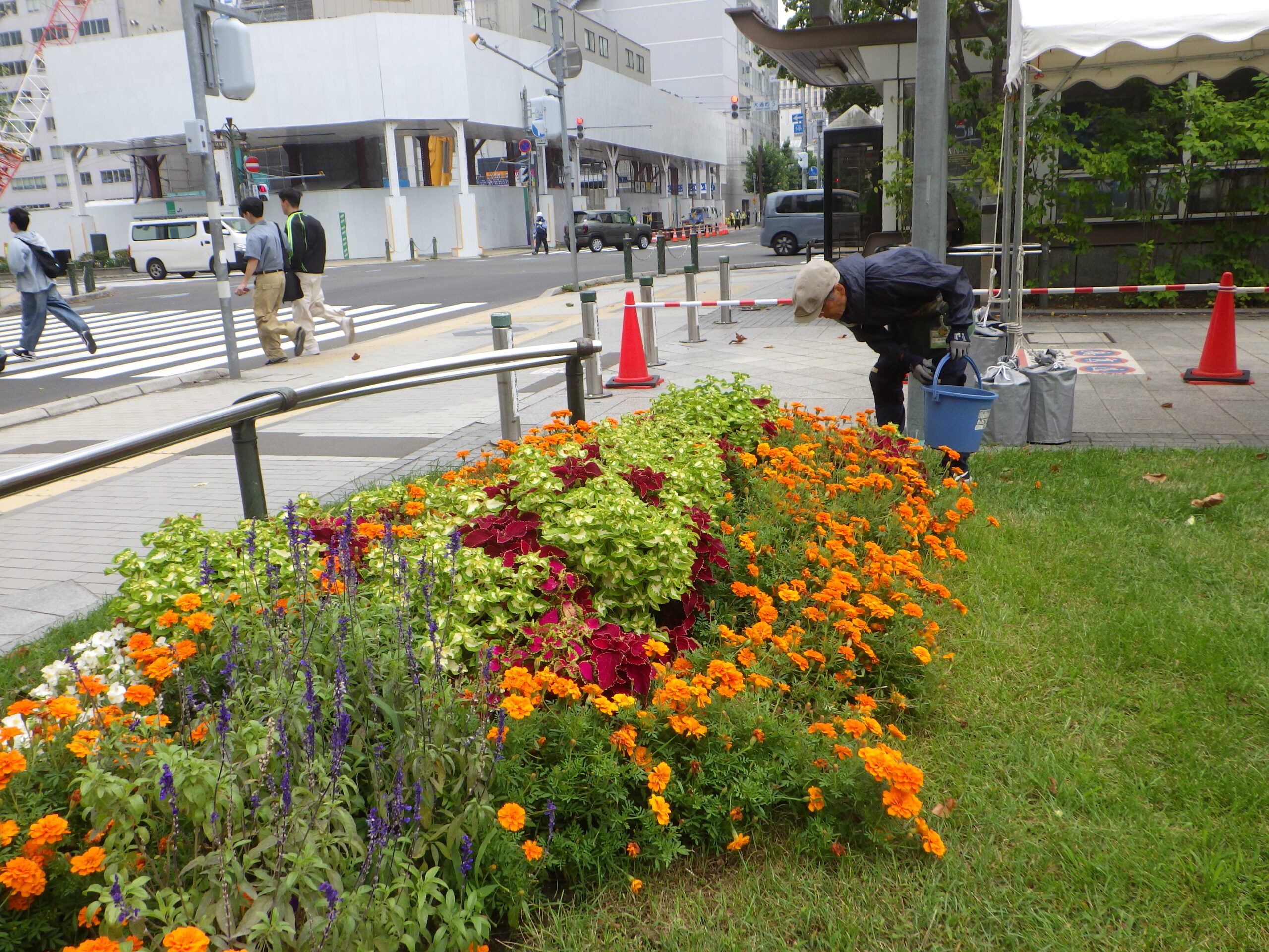0907花壇ボランティア