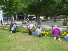 0907花壇ボランティア