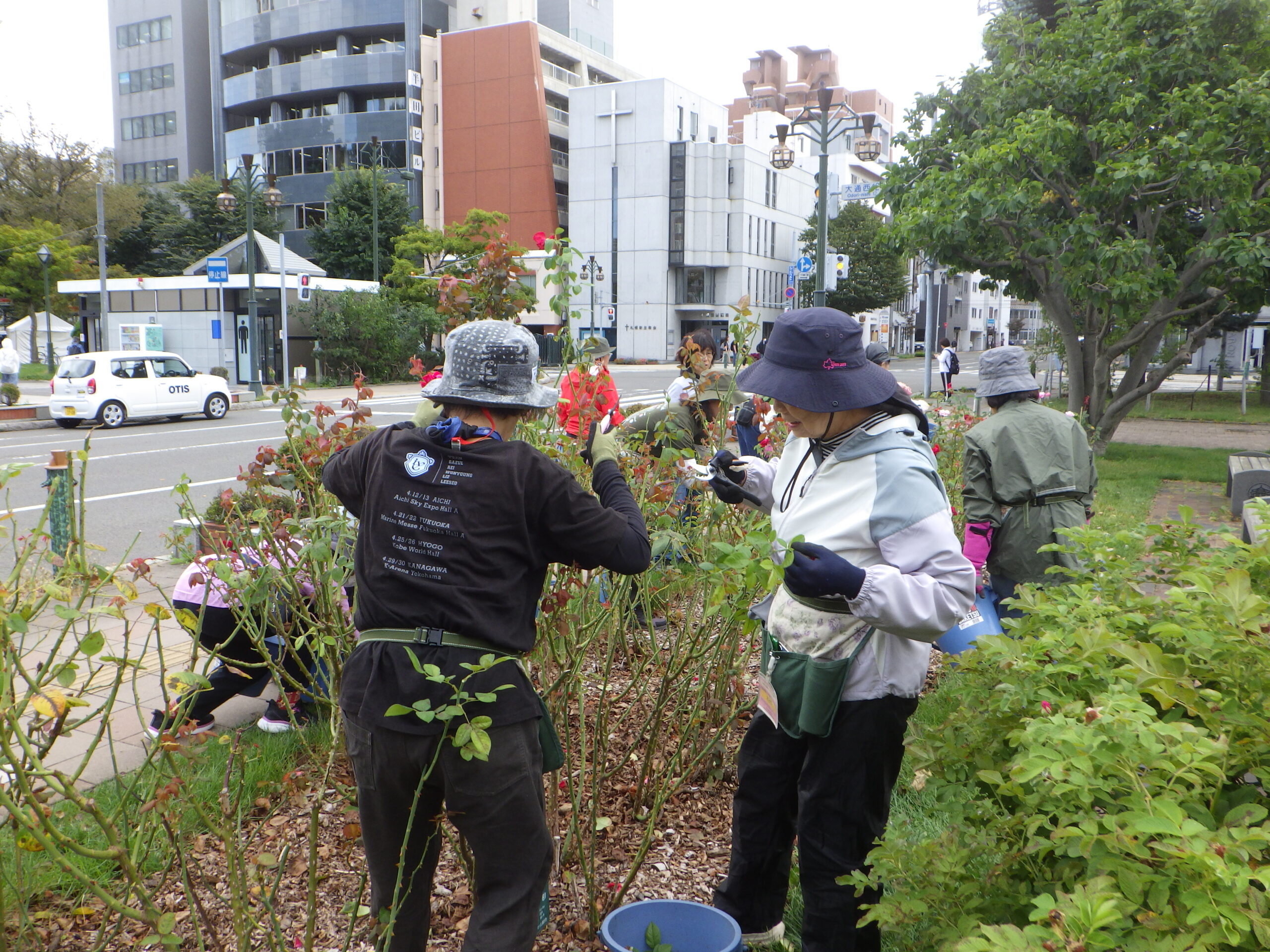 0909バラボランティア