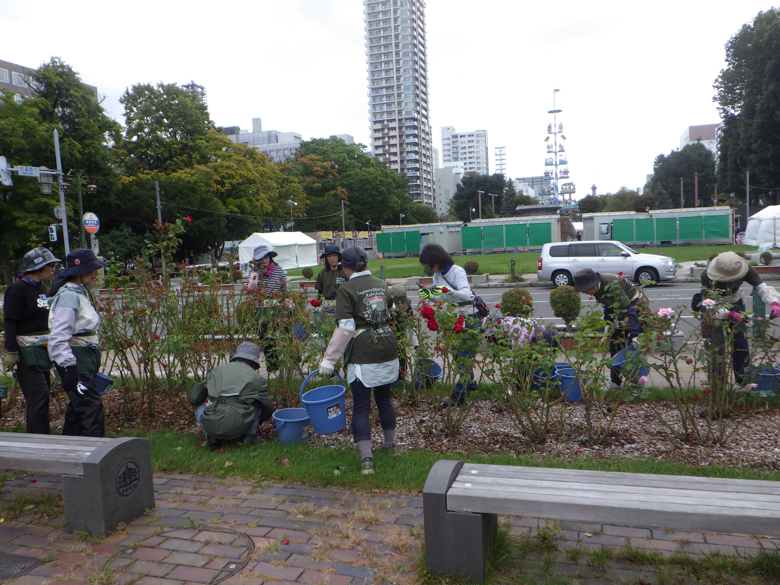 0909バラボランティア