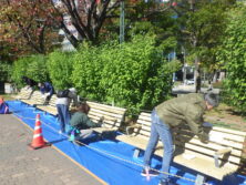 西7ベンチ塗装_ペーパーかけ5