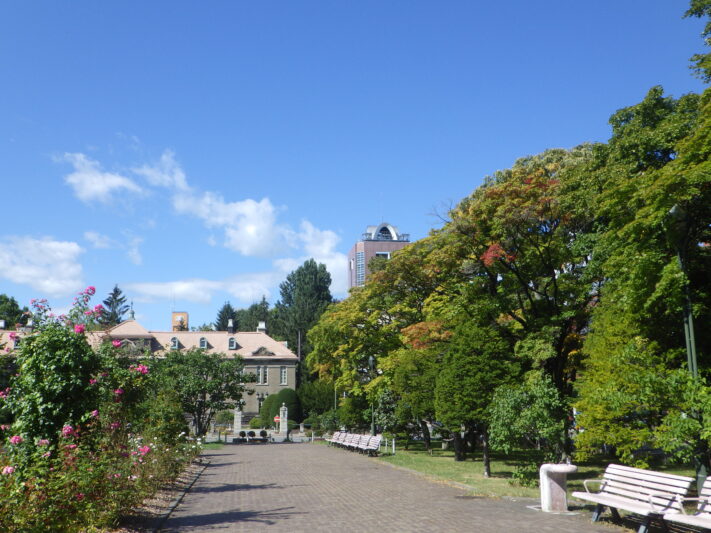 0916西12丁目バラ園の様子