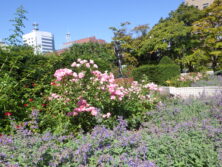 0916西側の風景