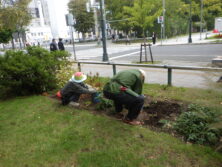 1005花壇ボランティア